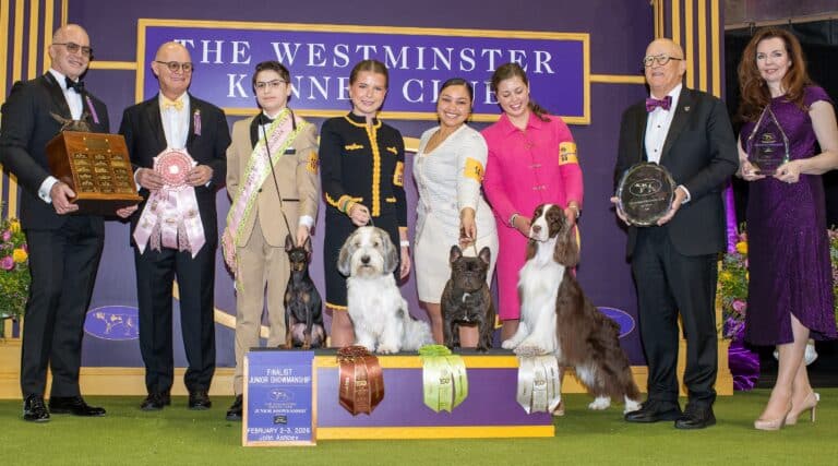 A group of people and four dogs pose on stage with trophies, ribbons, and awards at the Westminster Kennel Club Dog Show—From Booked and Busy to Best in Show: Inside Westminster’s First Sensation Stage.