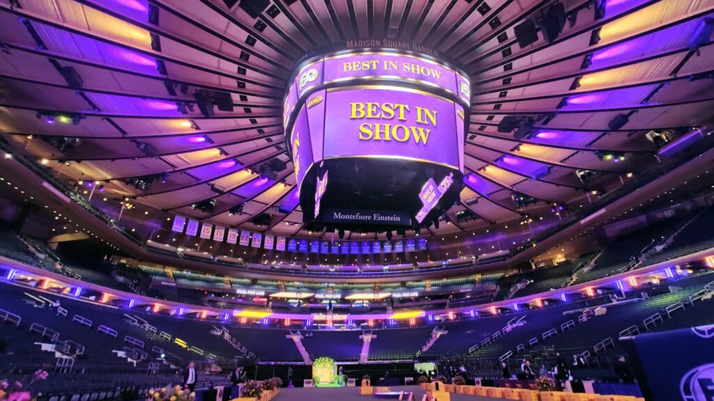 Interior of an arena with purple lighting and a large central screen displaying "BEST IN SHOW"; seating is mostly empty. From Booked and Busy to Best in Show: Inside Westminster’s First Sensation Stage.