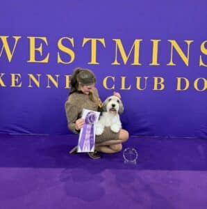 A woman kneels on a purple floor, holding a ribbon and sitting with a white and gray dog in front of a purple "Westminster Kennel Club Dog" backdrop.