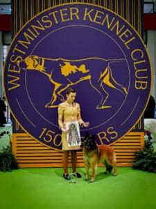 A woman stands with a Belgian Tervuren dog and a ribbon award in front of a large Westminster Kennel Club sign at a dog show event.