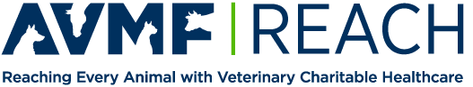 AVMF REACH logo with silhouettes of animal heads in the letters; tagline reads "Reaching Every Animal with Veterinary Charitable Healthcare." Celebrating compassion, much like a Veterinarian of the Year.