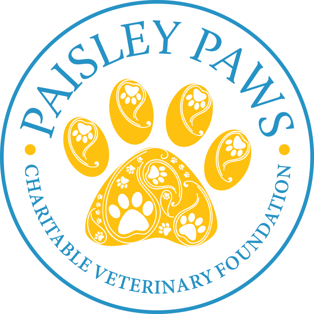 A circular logo with the words "Paisley Paws Charitable Veterinary Foundation," featuring a stylized yellow paw print with paisley patterns in the center, honors the spirit of a Veterinarian of the Year.