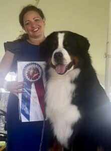 Woman smiling and holding a prize ribbon next to a large Bernese Mountain Dog under a tent.