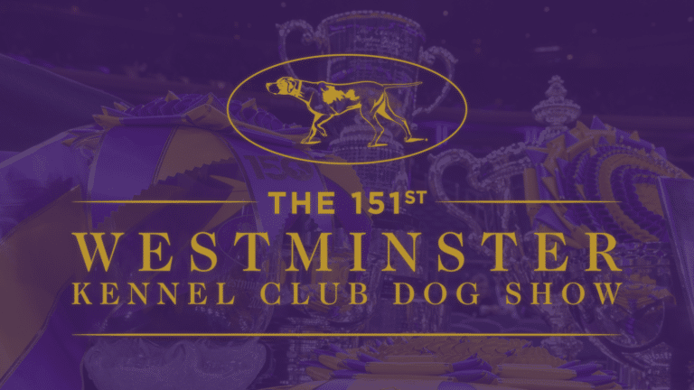 Logo for the 151st Westminster Kennel Club Dog Show overlaid on a background of trophies and award ribbons, featuring a special highlight: Meet the 2027 Westminster Judges.