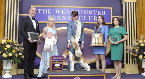 A group of people standing on a stage holding trophies.