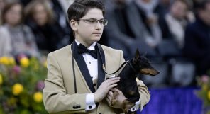 A young person in a beige suit and bow tie holds a small black and tan dog at a dog show, with people and flowers in the background.