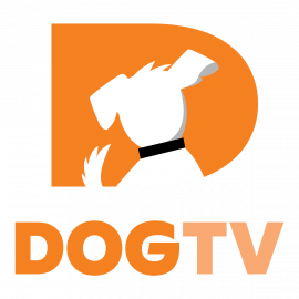 Dogtv logo, featuring a white dog silhouette in profile against an orange background, is proudly presented by our sponsors.