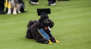 Freestyle-VCR-67_yjqtwm