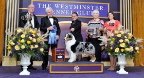 A group of people standing on a stage with trophies.