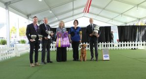 A group of people standing on a stage holding trophies.